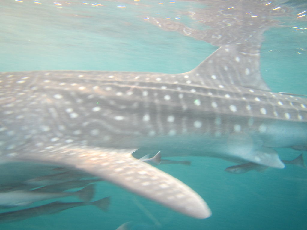 c47f06b4-4c86-4c34-b150-a69d035f24bd