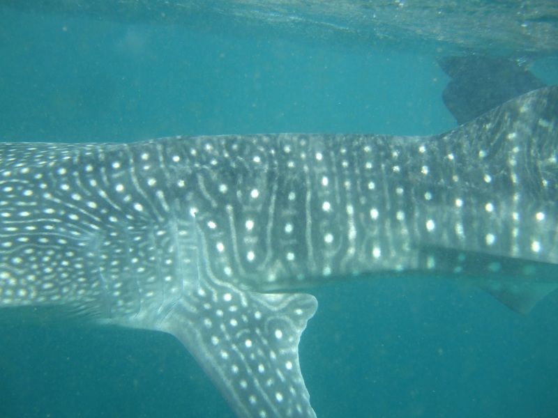 f444cd45-3494-46f7-835d-8a976e4fa2b3