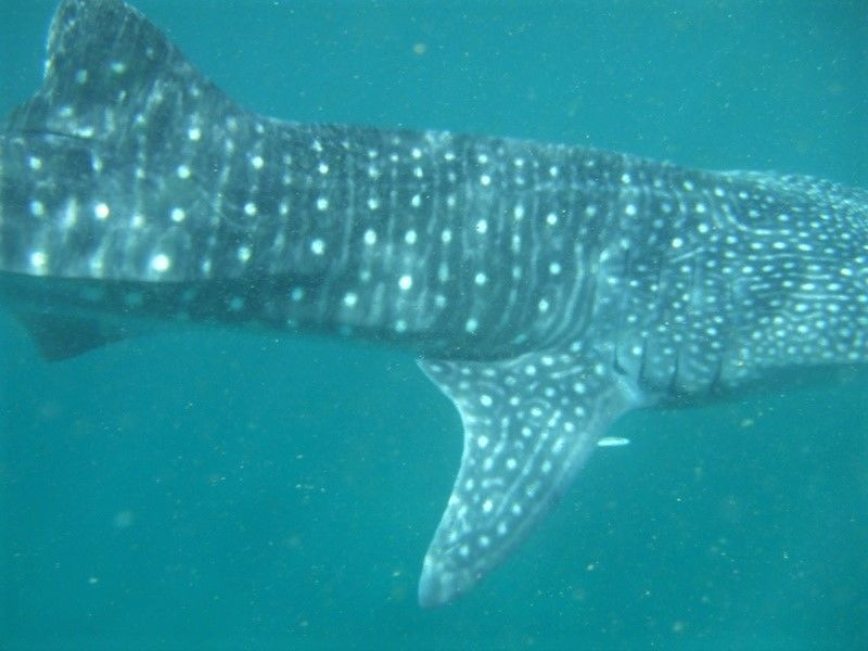 f444cd45-3494-46f7-835d-8a976e4fa2b3