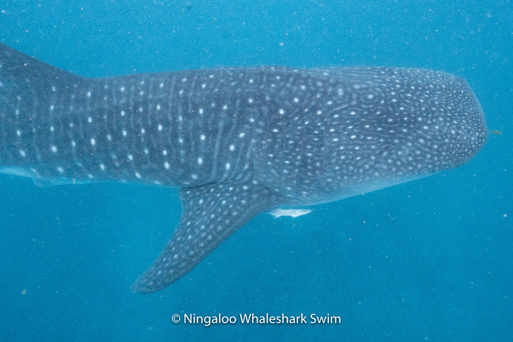 4aa5b0a9-6071-4125-b325-a8a49def3fe1