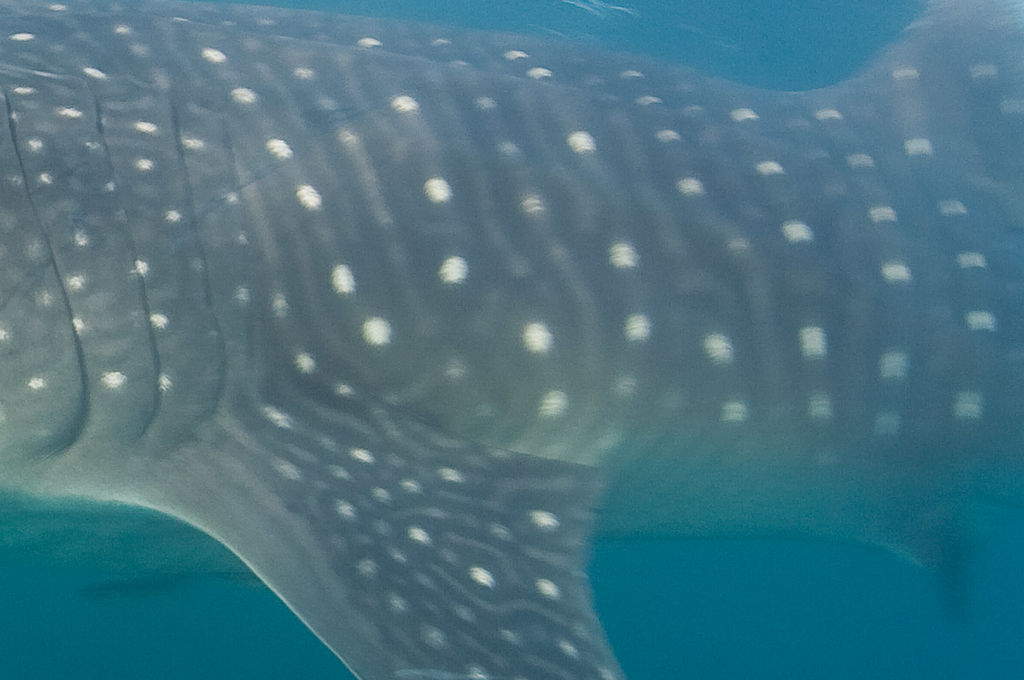 cff7e89e-5c9f-4ce6-b749-e9fa8f9f3a6b