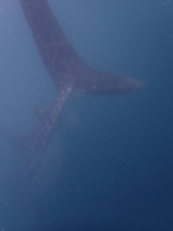 ca3d767b-adfb-43f5-be24-30a27dd89cd1