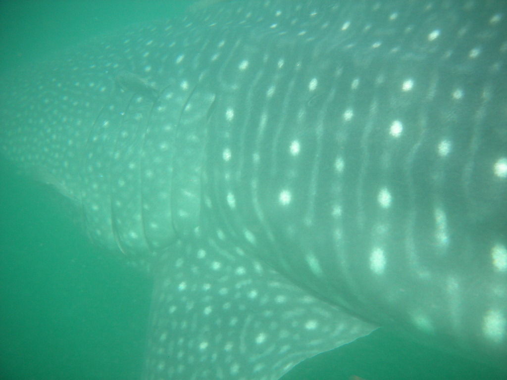 82a1c3ac-b241-4087-bb95-963316a3467d