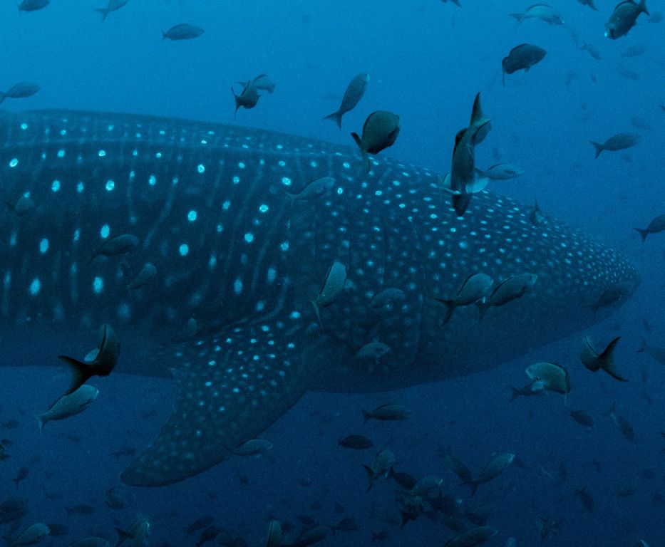 9dce4f17-8690-4cf4-82c4-2fbb535f5bc0