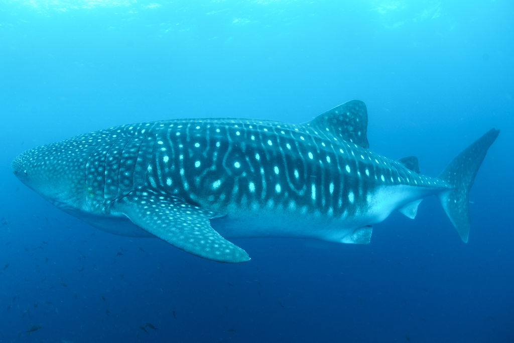 9dce4f17-8690-4cf4-82c4-2fbb535f5bc0