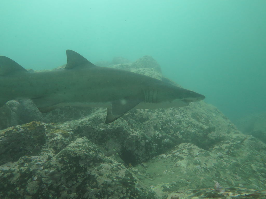 f7fa275b-f098-442b-a6a3-515865f2f4f1