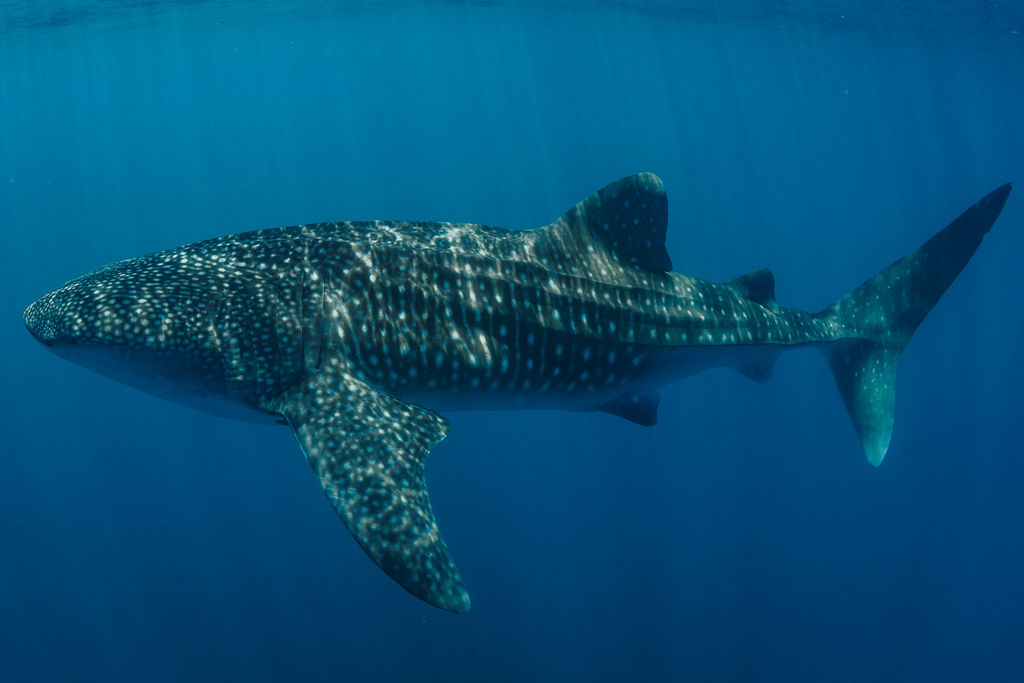 6e2c4c56-e085-4af0-8e42-756c1ed411ed