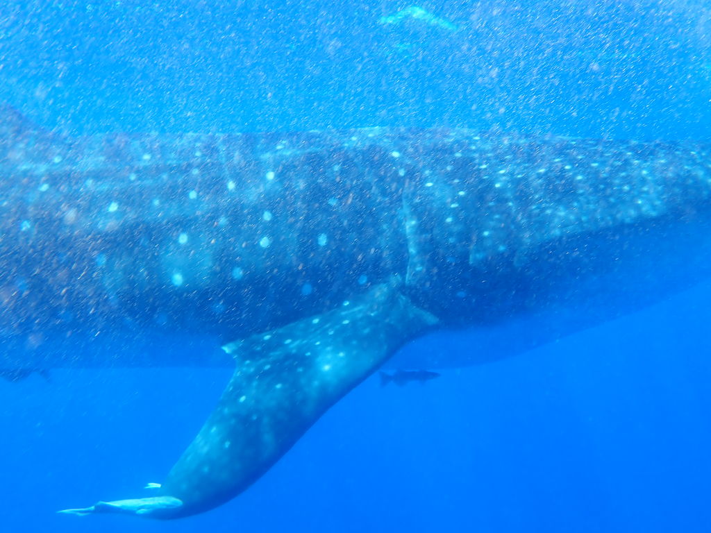 fe2d9470-e9e1-41fb-83c3-3e8b2a5e0038