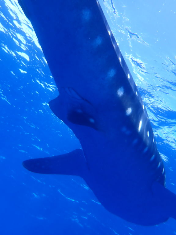 fe2d9470-e9e1-41fb-83c3-3e8b2a5e0038