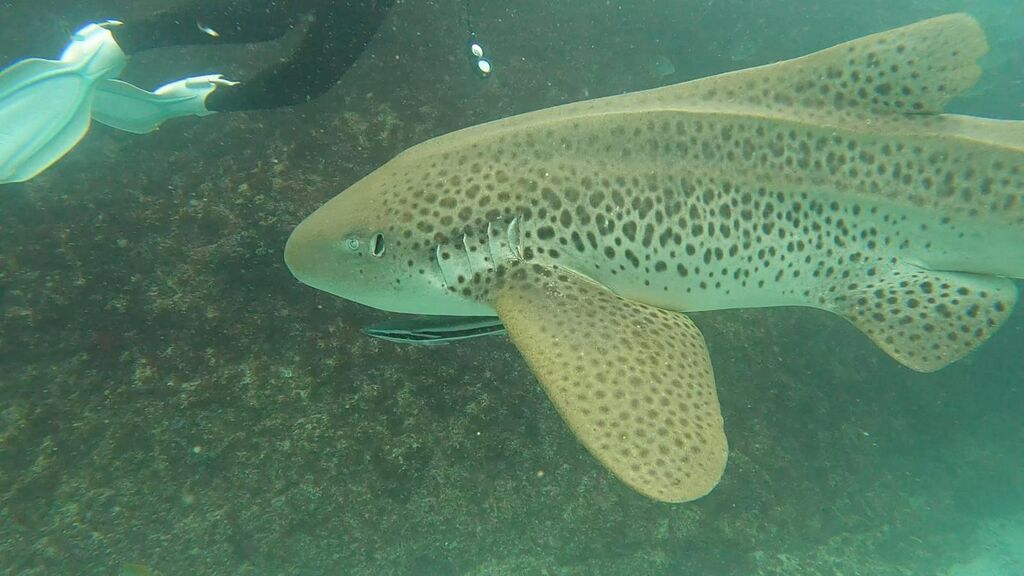 0f16f8d8-f6ad-462c-a672-727744828b43