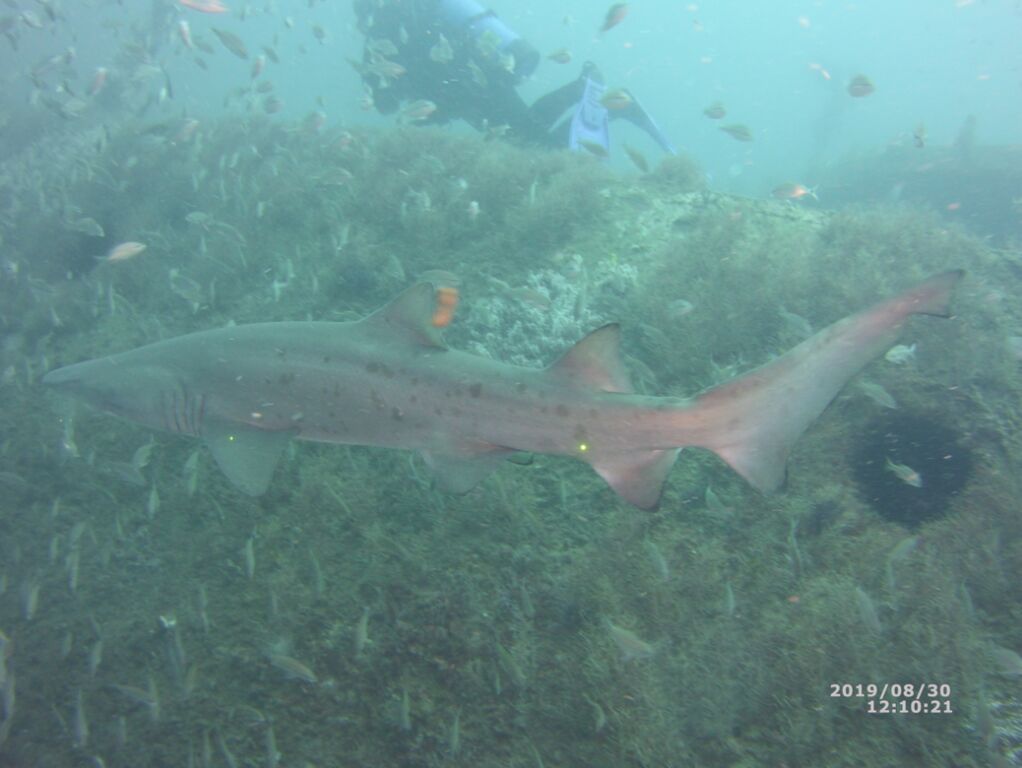 9f1bc54d-d870-49e4-90a0-f8c0a50fd29c