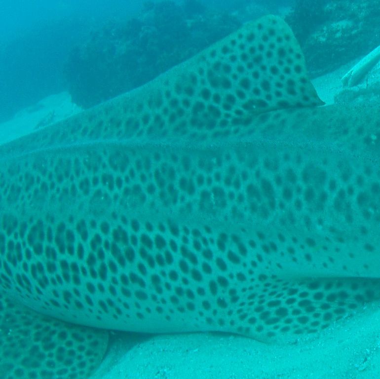 58c2dc36-ab38-4a3c-8404-55f97e3b3126