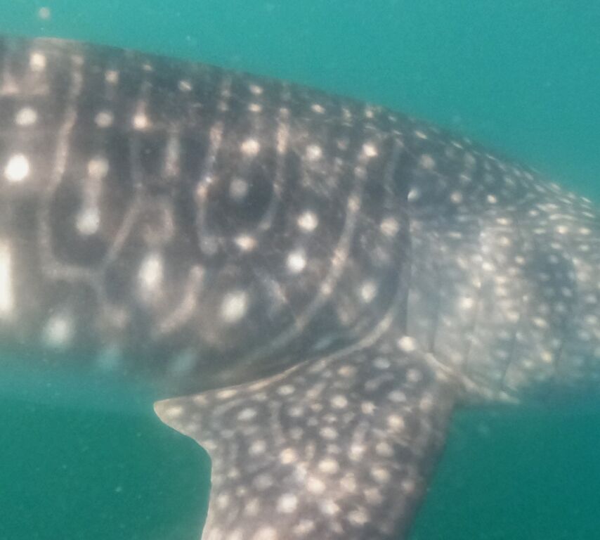 c135ada6-08ba-4076-9fec-78ba2fb06f60