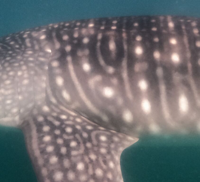 c135ada6-08ba-4076-9fec-78ba2fb06f60