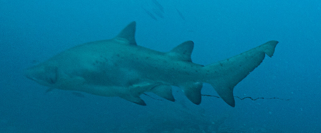 541b5dfc-acf3-428c-9496-f5e48bb8fc8a