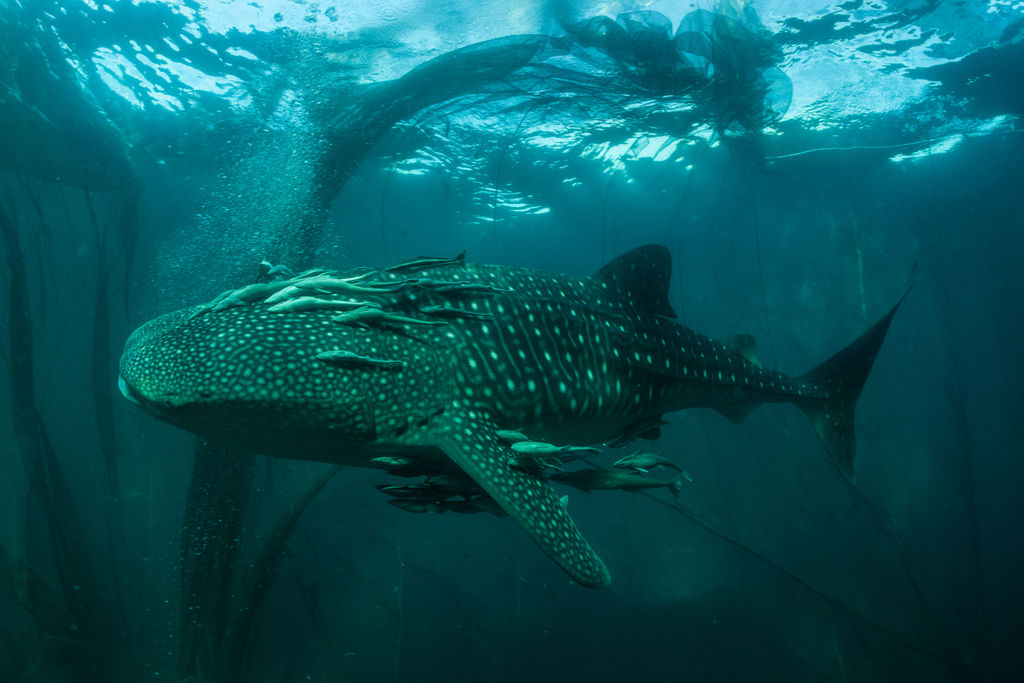 8b38c424-f944-4ba7-b216-aa7900a24c07