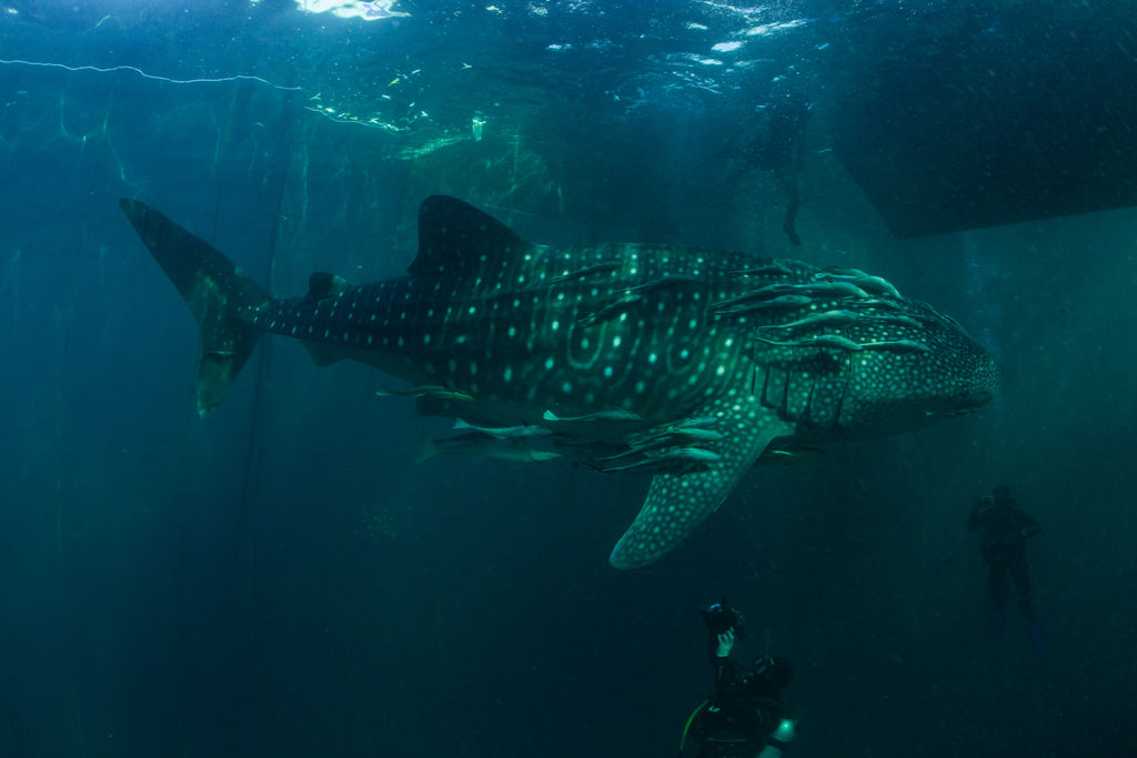 8b38c424-f944-4ba7-b216-aa7900a24c07