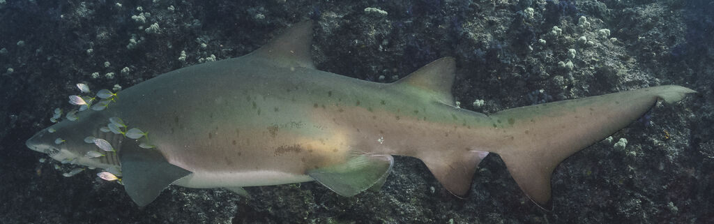 402eba90-2a40-4f7b-b2a4-e53c1b3d538c