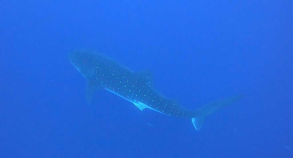 90b6f78e-2265-4aaa-9b59-74d076e5cbc6