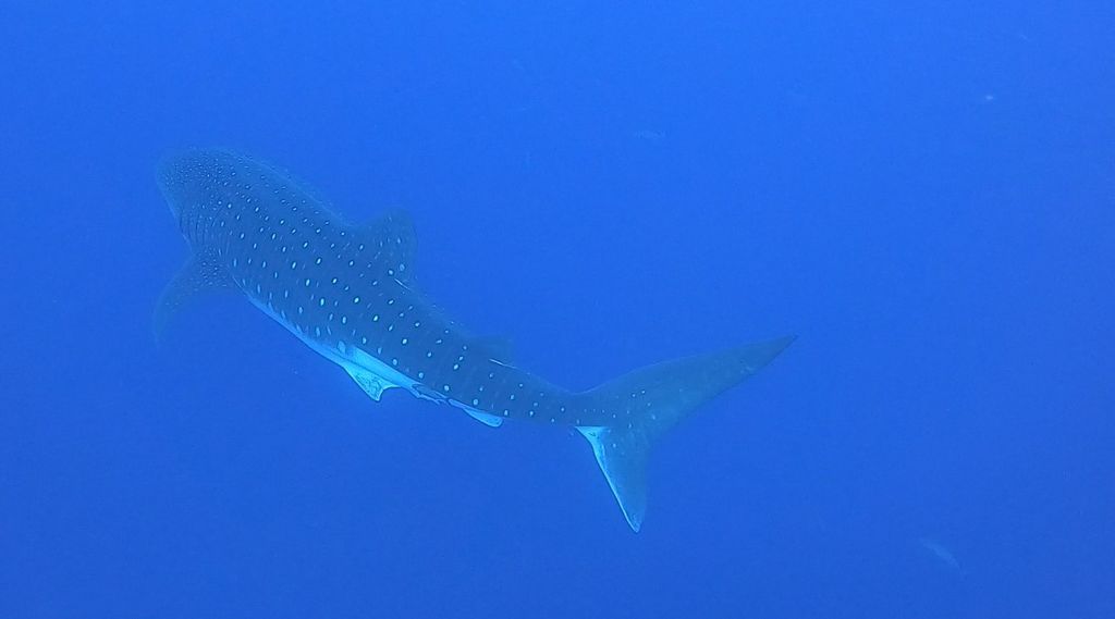 90b6f78e-2265-4aaa-9b59-74d076e5cbc6