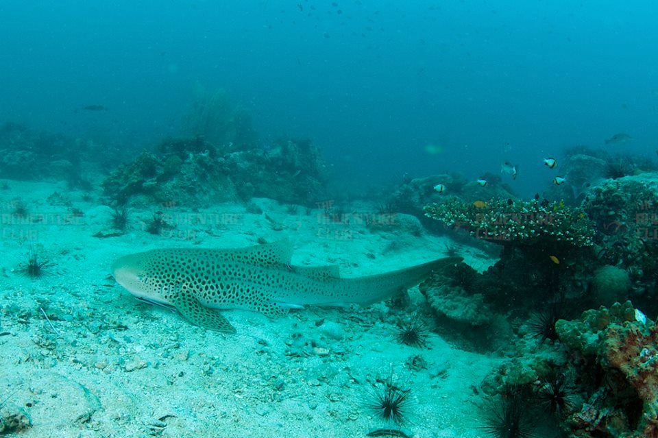 790b3f13-2f99-4644-9f22-0dd718bd5fde