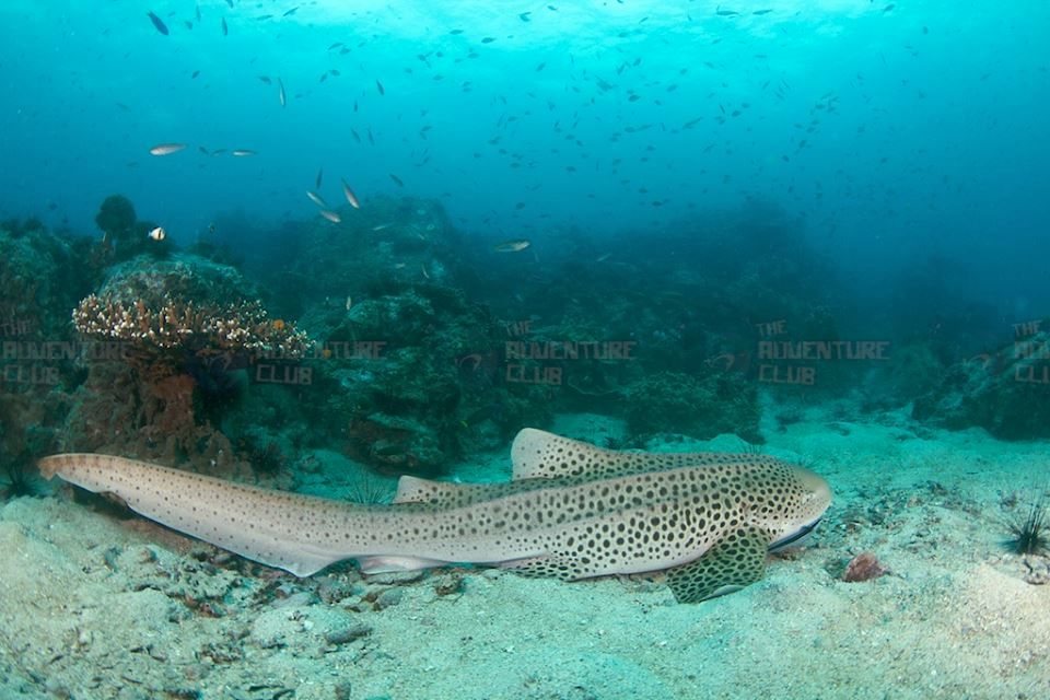 790b3f13-2f99-4644-9f22-0dd718bd5fde