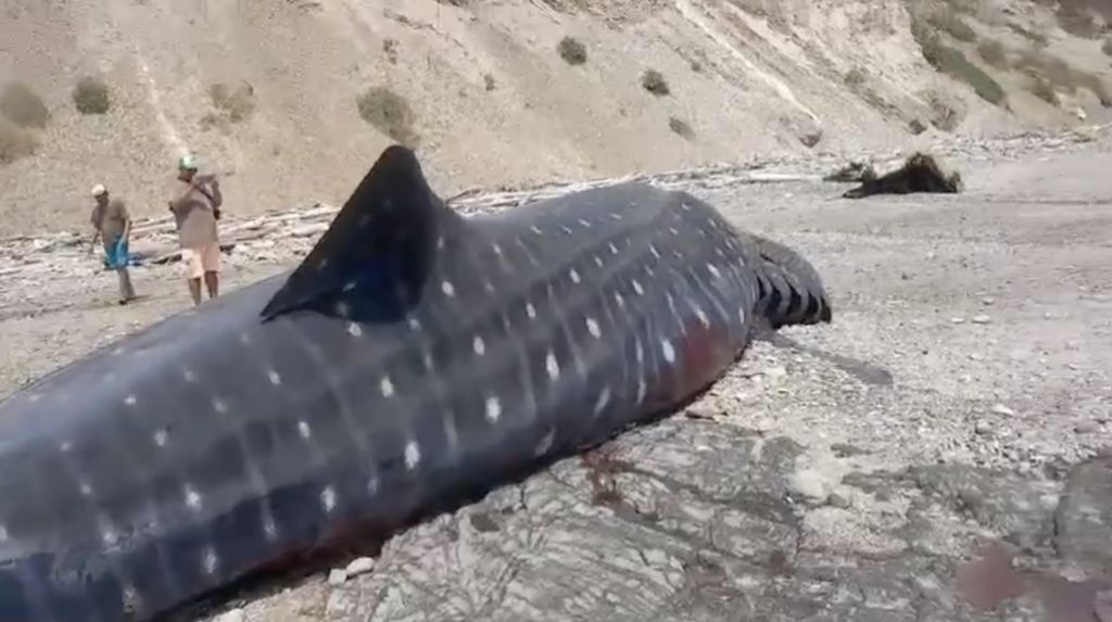 28df4429-cbe7-4200-a8fe-d3a02e6b5433