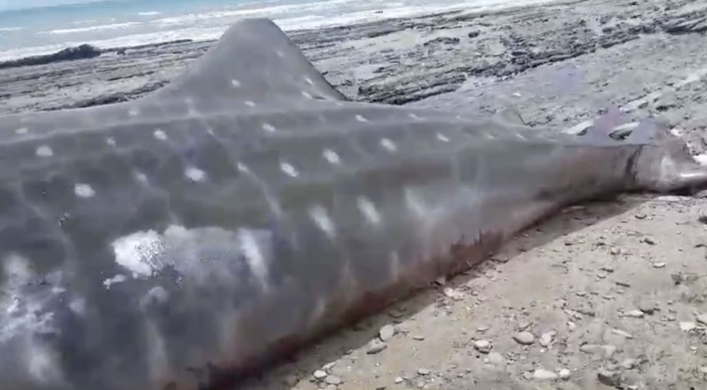 28df4429-cbe7-4200-a8fe-d3a02e6b5433