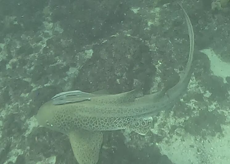 9b0448e1-74f9-42b9-9ca0-d39cbeb00cc9