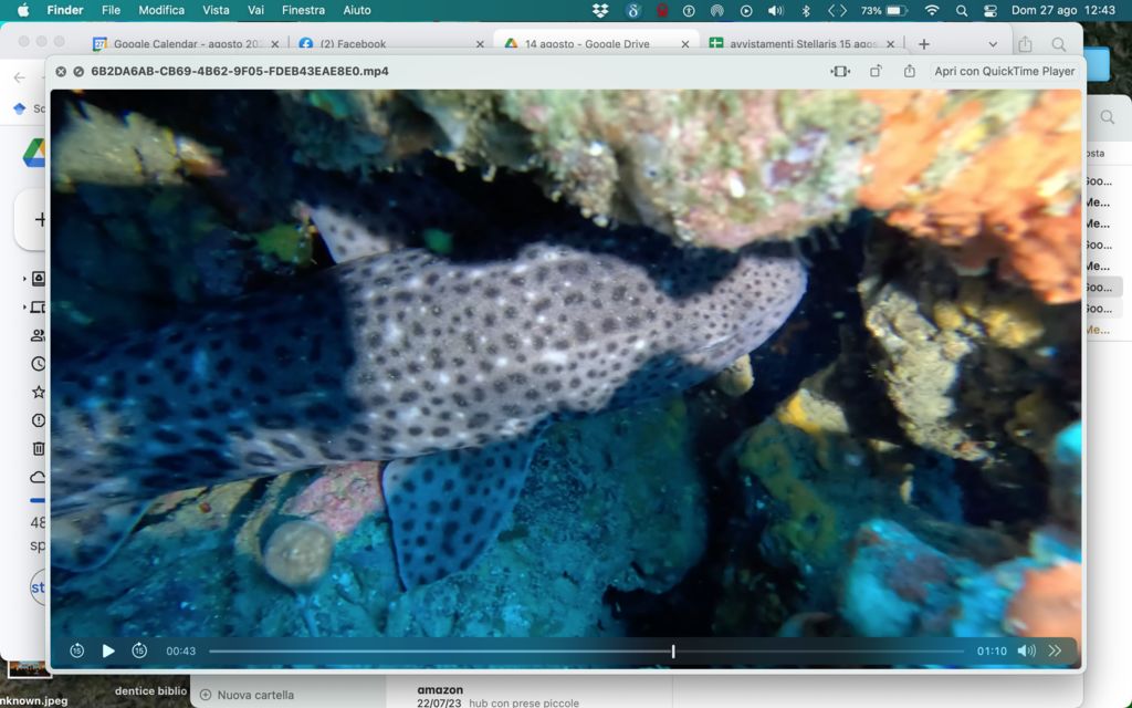 0d9a6d8f-27b0-4a24-8997-645d5e9d416e