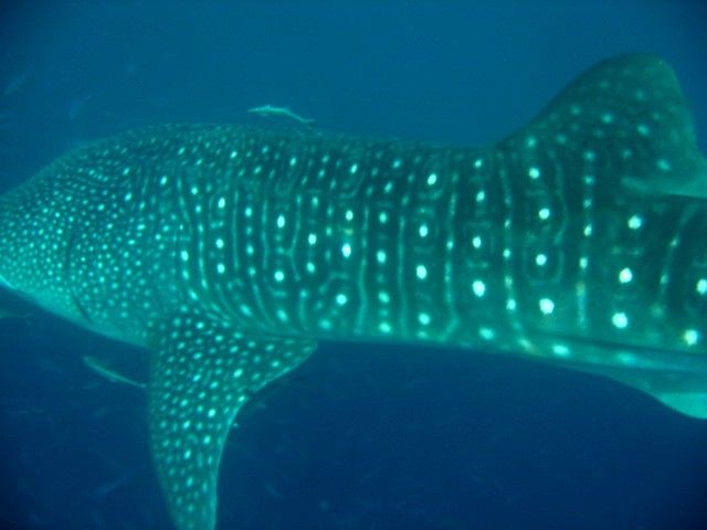 d3d892ad-3d6e-4b3b-ae11-fd0297ed7113