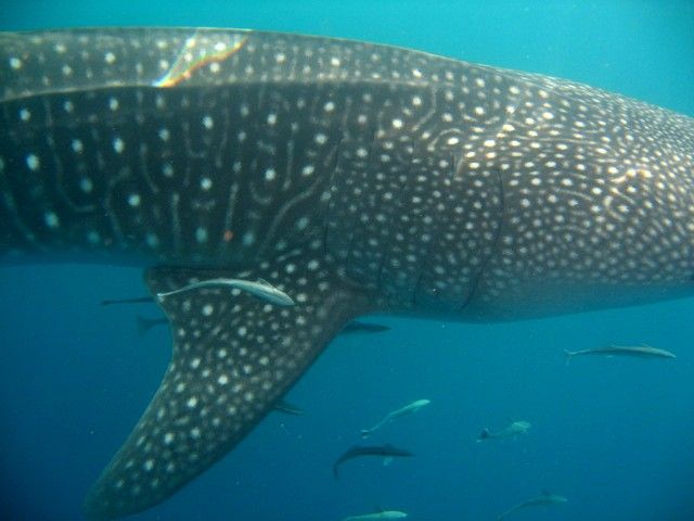 d3d892ad-3d6e-4b3b-ae11-fd0297ed7113