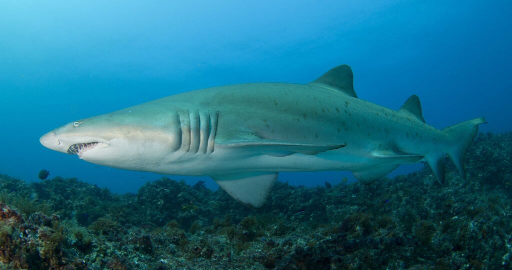 b08cb137-c05d-4e5c-8081-cd8e1c73873d