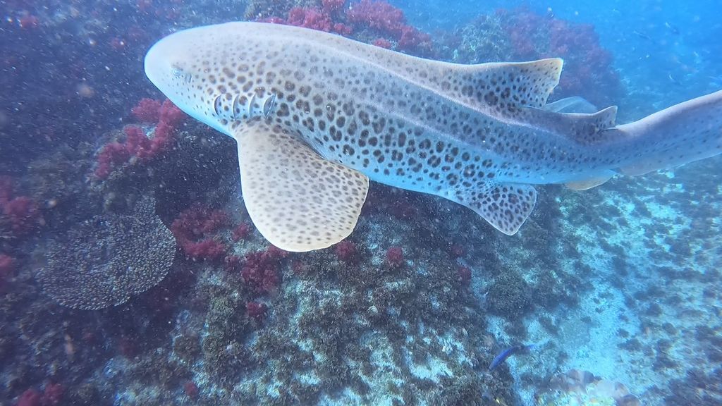 aed0a235-f7b4-48f1-85ee-11bbc3ea6c73