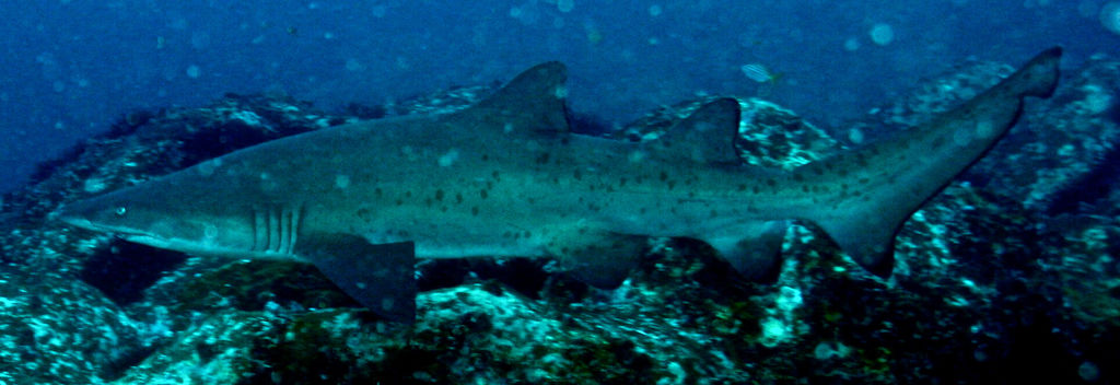 5f2e9212-e186-493b-9f17-ade96beed14d