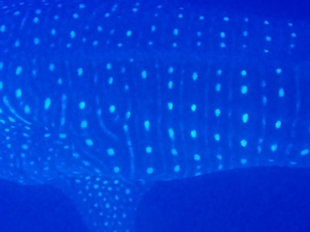 c6c5d641-f12e-4b40-a89a-e551af13cb38