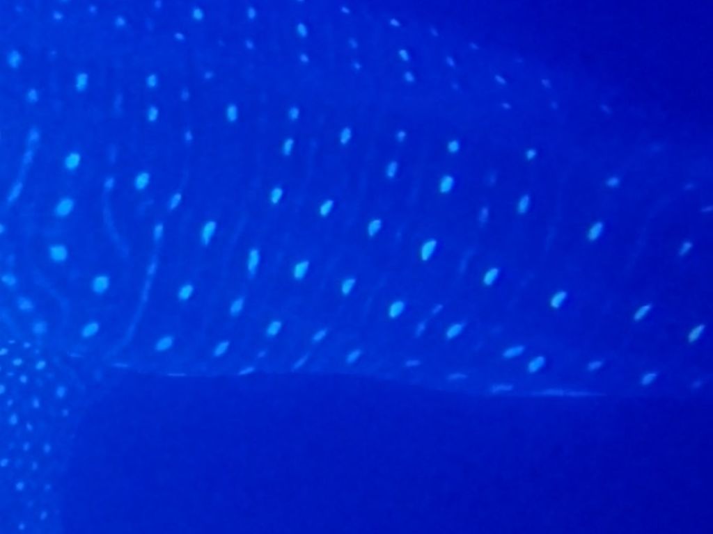 c6c5d641-f12e-4b40-a89a-e551af13cb38