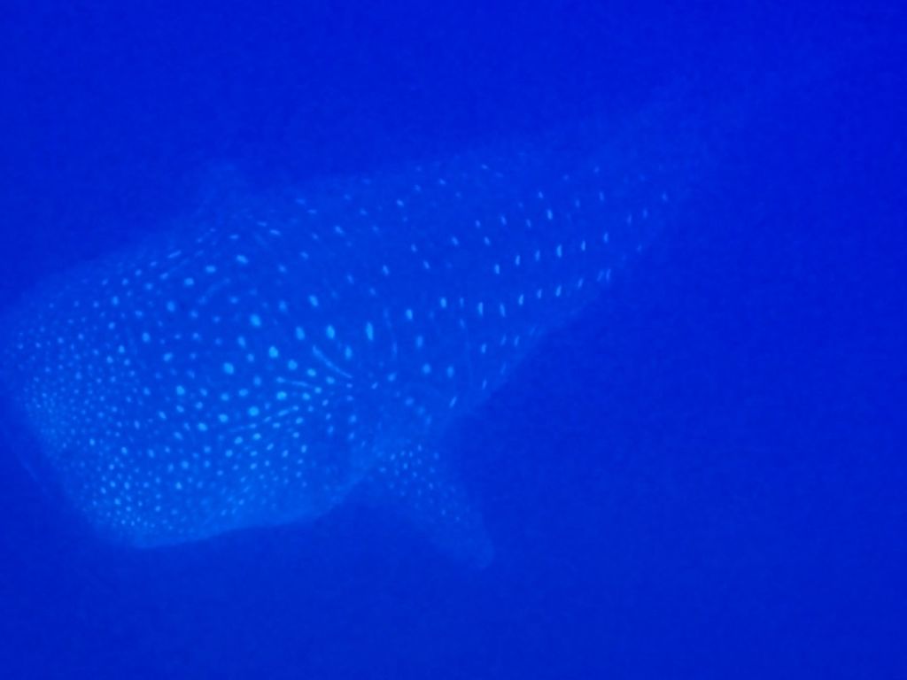 c6c5d641-f12e-4b40-a89a-e551af13cb38