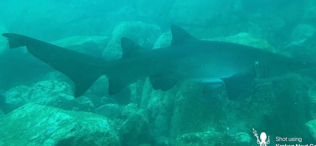 679d8bd7-4155-4381-aa4e-1cd80f7bfc52