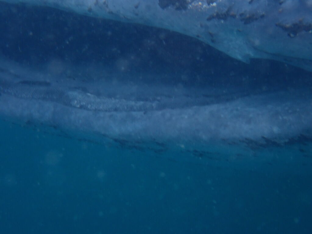 30e98eb2-0151-4ce1-9eb2-a4d5a6682376