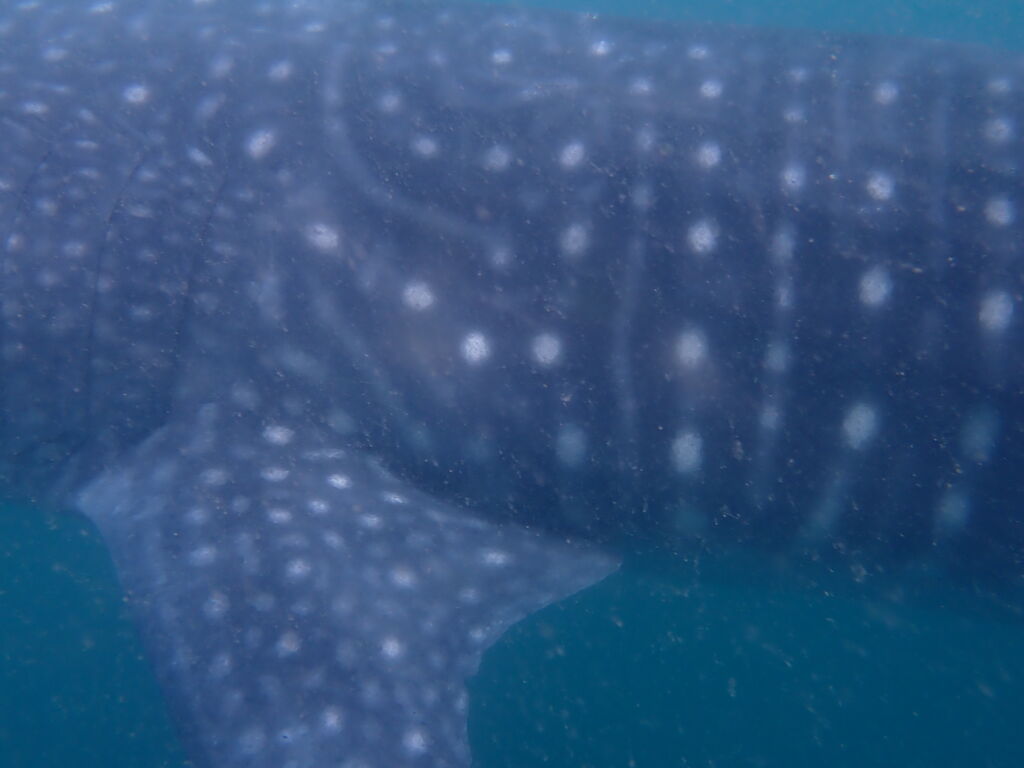 30e98eb2-0151-4ce1-9eb2-a4d5a6682376