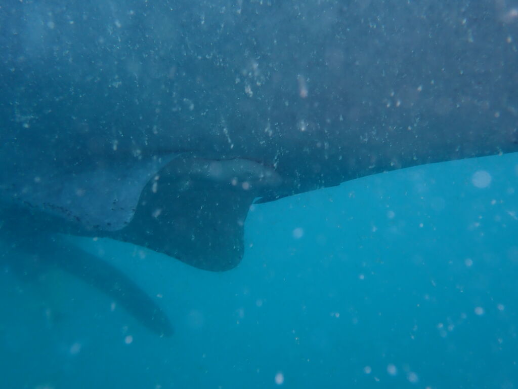 30e98eb2-0151-4ce1-9eb2-a4d5a6682376