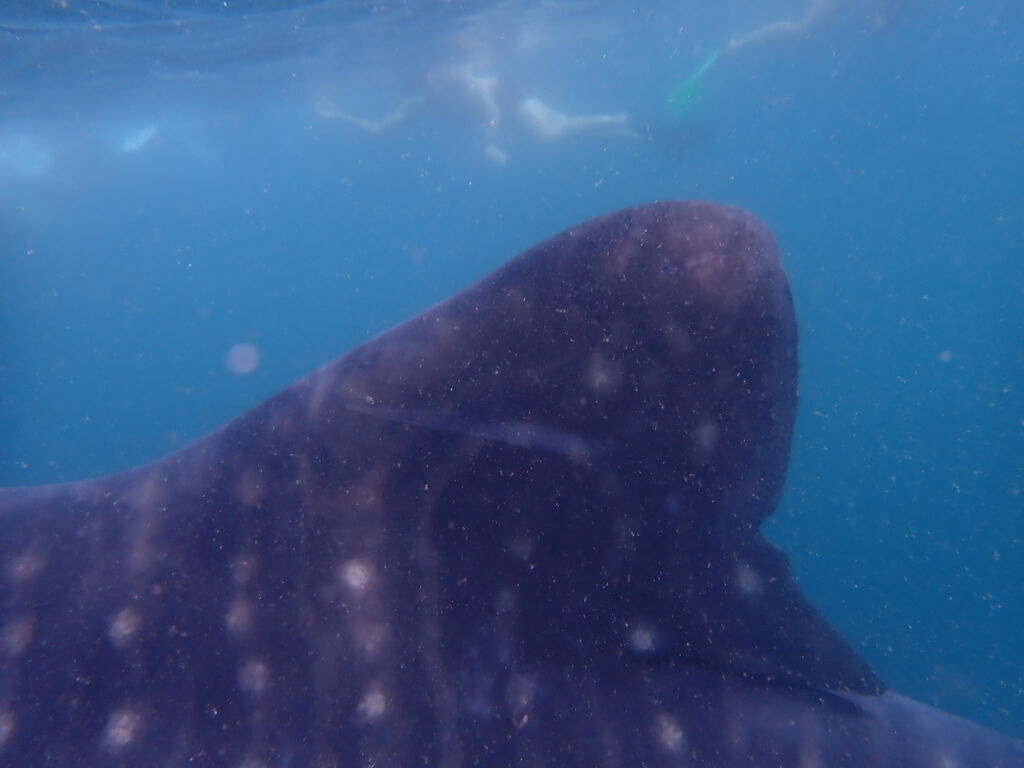 30e98eb2-0151-4ce1-9eb2-a4d5a6682376