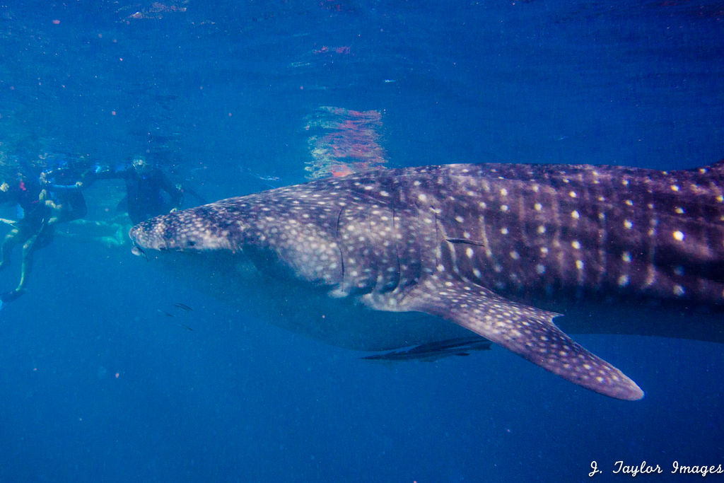 200a472f-c9cf-4716-9825-16eafc7726b8