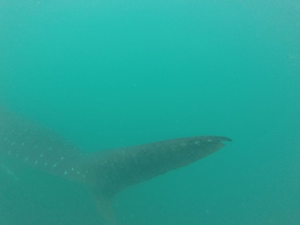 39dc6620-1eb5-4160-acaa-66c5130932a0