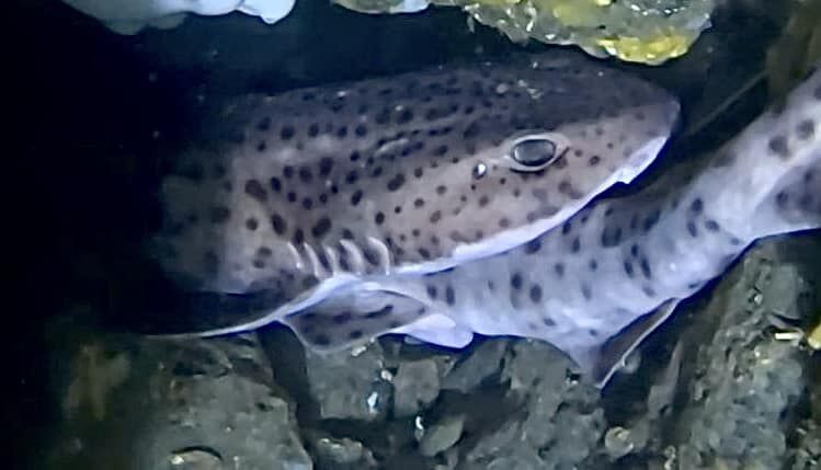 ce5975c7-a737-4188-8214-ebbd75db5203