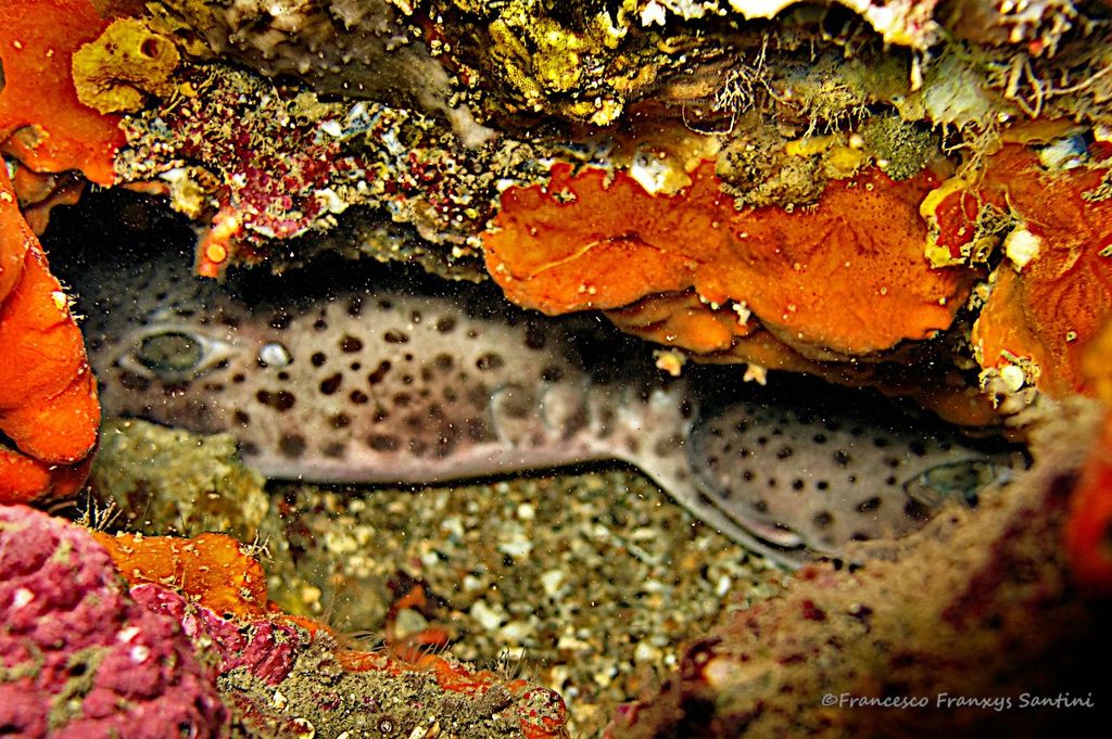 003a367b-edf1-4f97-b085-70ad61df53cd