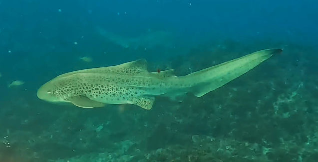 50e8d151-4727-4b3c-8077-206868efc5fe