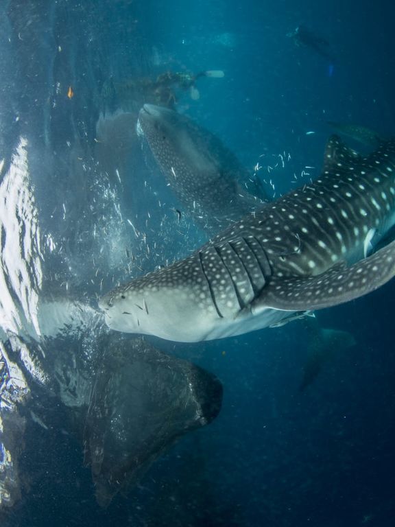 28df0d06-5c16-4389-8c1d-c725082796f0