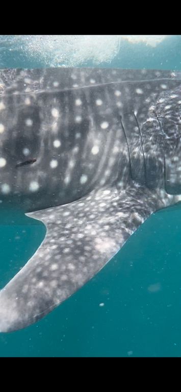 375df44f-ade4-4e47-a0f5-595f9dd72983